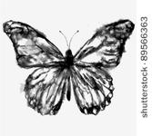 painted butterfly  vector 