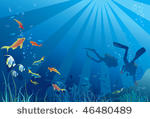 scuba divers  sea  life. fish ...