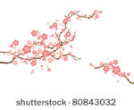 vector cherry blossom