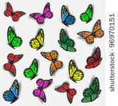 collection of colorful...