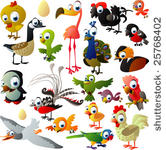 extra big set of birds