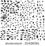 mixed silhouettes set birds...