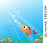 tropical fish under water