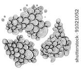 vector swirls set