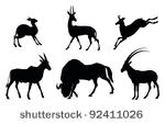 vector antelopes silhouettes