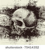 skull and grunge vector...