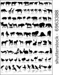 collection of animals vector...