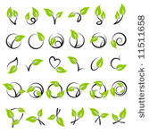 leaves. elements for design....