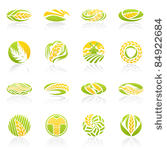 wheat and rye. elements for...