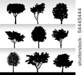 trees  silhouette