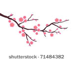 vector cherry blossom in spring ...