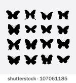 butterfly  vector 