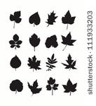 black leaves