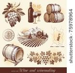 hand drawn vector set   wine...