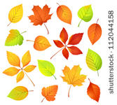 autumn leaves