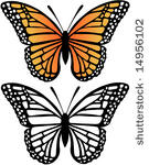 monarch butterfly vector...