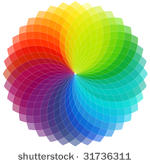 color wheel background  vector 