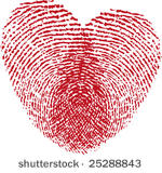 fingerprint heart  vector
