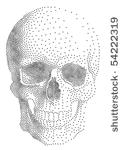 abstract human skull  vector...