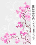 cherry blossom background