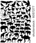 collection of animal vector 2