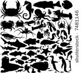 sea animals vector