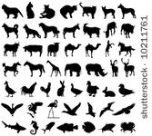 50 animal vector