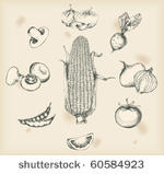 vegetables drawings  isolated...