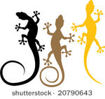 gekko media artwork