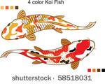 4 color koi fish vector