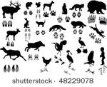 illustration with animals and...