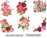 illustration with rose...