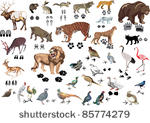 illustration with animals and...