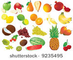 giant set of vector fruits....
