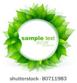 fresh green leaves vector...