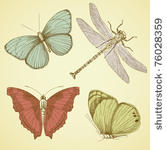 vintage butterfly collection