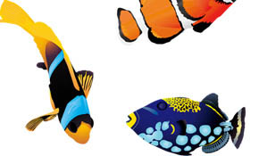 5 Vector Fish