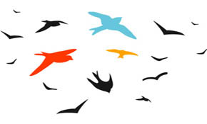 bird vector set