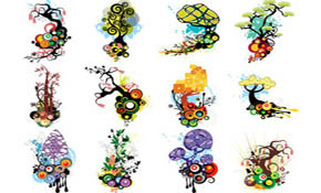 Floral Designs