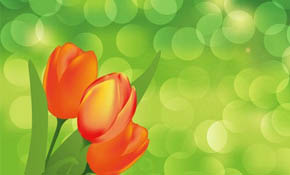 Flower Background