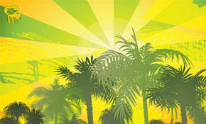 Palm Trees