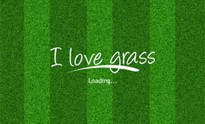 Grass Texture Seamless