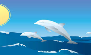 Happy Dolphins