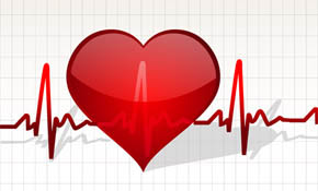 Heart with life line