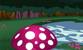 Mushroom Forest