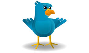 Smug Twitter Bird