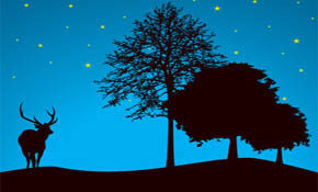 Tree Landscape Vector