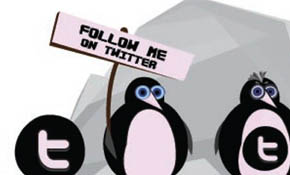 Twitter penguins