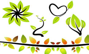Vector-Ecology