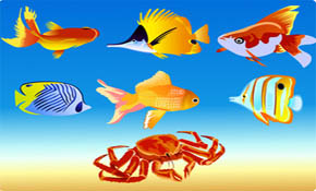 Vector Fish